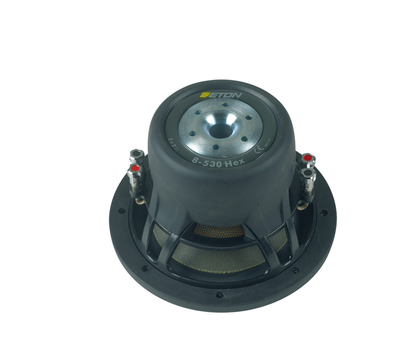 car_hifi_subwoofer_chassis_eton_8_530_hex_bild_1328617524.jpg