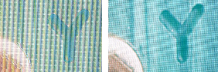 fernseher_toshiba_55zl2g_bild_1341821544.jpg